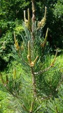 20160530_111155.jpg