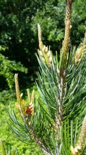 20160530_111214.jpg