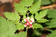 IMG_5290.JPG