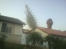 P08-21-16_19.07.jpg
