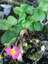 IMG_0887.JPG