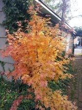 2016-11-06 11.19.44.jpg