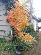 2016-11-06 11.19.29.jpg