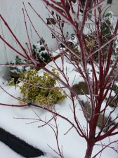 20161217_120723.jpg