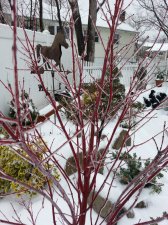 20161217_120726.jpg