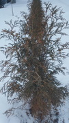 20170203_165711.jpg