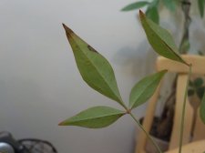 DSCN7893.JPG