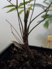 DSCN7886.JPG
