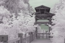 first_ir_photo.jpg