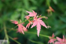 sept_2006 006.jpg
