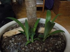 DSCN8121.JPG