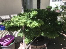 IMG_6084.JPG