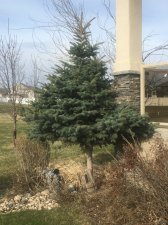 IMG_1511.JPG