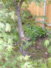 Spring-'17-#4.jpg
