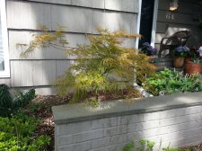 2017-05-16 15.26.32.jpg