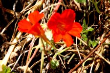 IMG_6506.JPG
