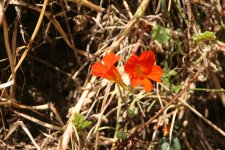 IMG_6505.JPG