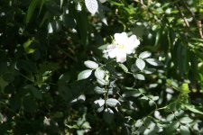 IMG_6583.JPG