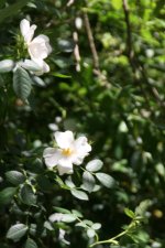 IMG_6585.JPG