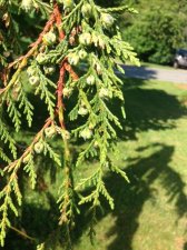 IMG_3266.JPG