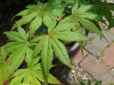 20170616_103440.jpg