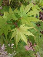 20170616_103231.jpg