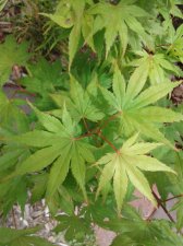 20170616_103226.jpg