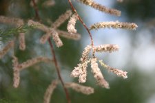 IMG_6682.JPG