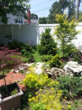 2017-06-18 12.32.26.jpg