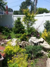 2017-06-18 12.32.23.jpg