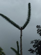 IMG_1678.JPG