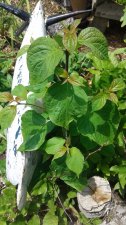 20170711_132849.jpg