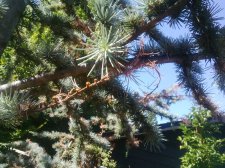 IMG_20170706_161152.jpg