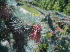 IMG_20170706_161209.jpg