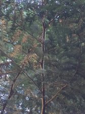 IMG_1901.jpg