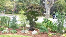 IMG_20170914_143157961.jpg