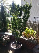2017-09-22 15.27.45.jpg