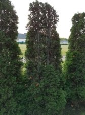 20170930_080535.jpg