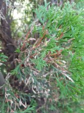 20170930_080555.jpg