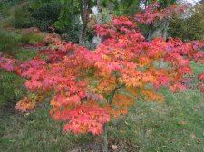 IMG_2295.JPG