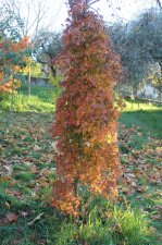 IMG_1855.JPG
