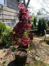 2018-05-01 15.14.10.jpg