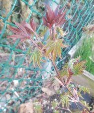 20180427_112355.jpg