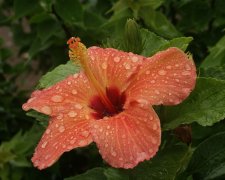8658296-L.jpg