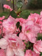 IMG_0134.jpg