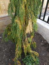 IMG_20180524_195107.jpg