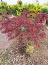 2018-05-07 07.55.11.jpg