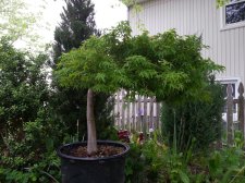 2018-05-31 13.42.11.jpg