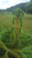 20180619_111256.jpg