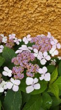 20180624_172334.jpg